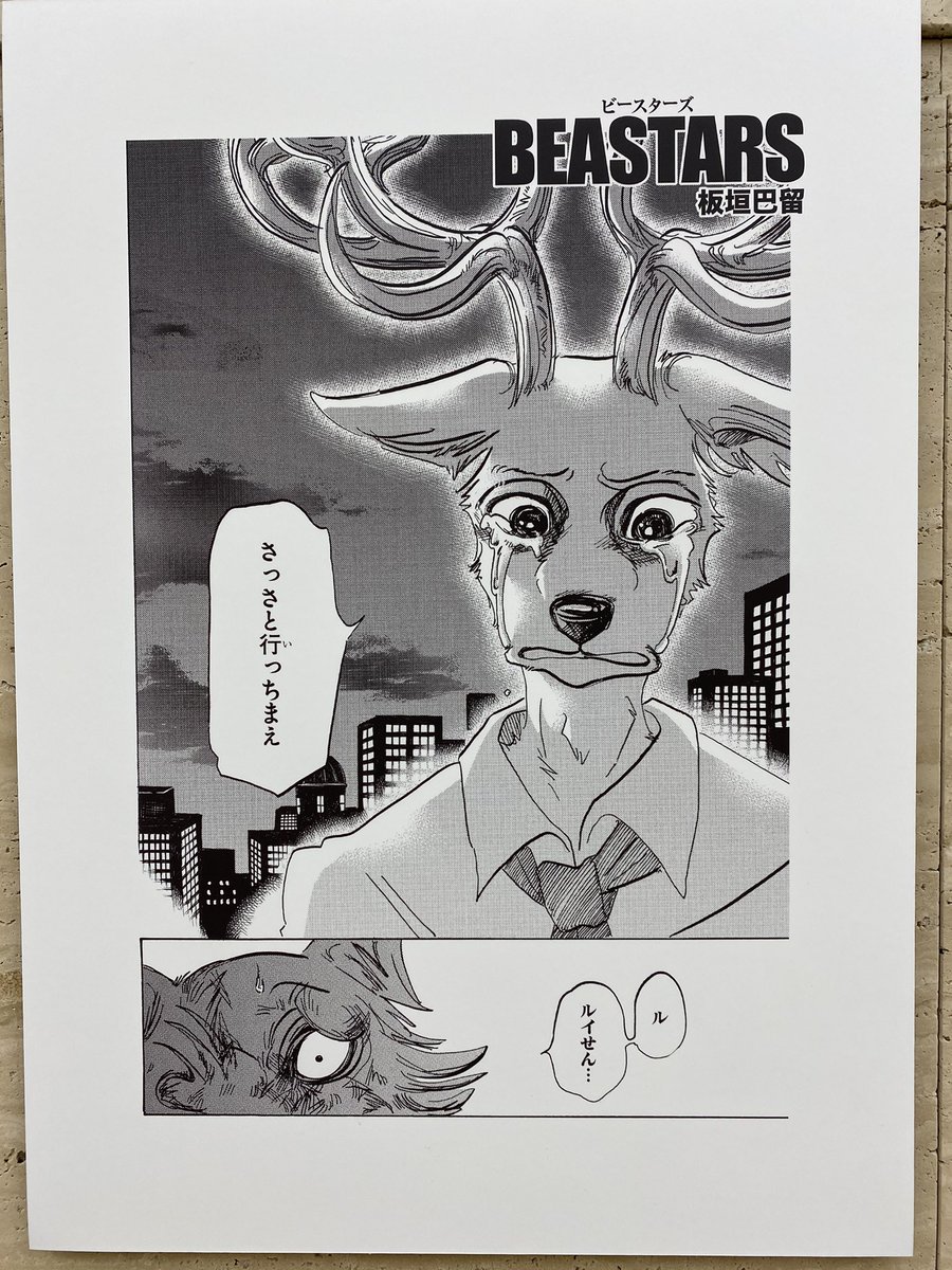 ルイ先輩 W これ泣くしかないて 大地のハンター展 Beastars さばなび